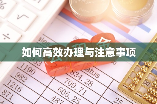 梁平如何高效办理与注意事项