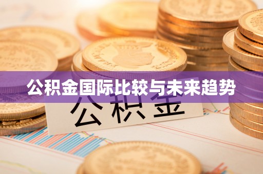 梁平公积金国际比较与未来趋势