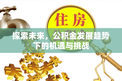 梁平探索未来，公积金发展趋势下的机遇与挑战