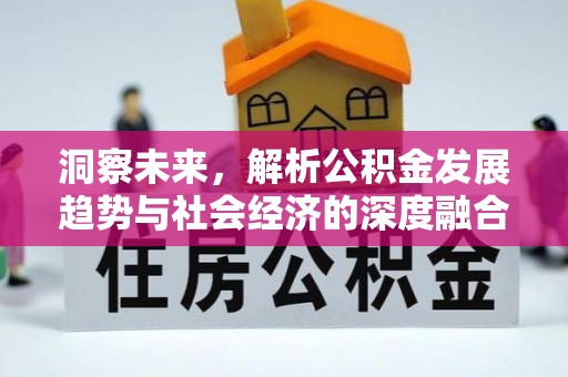 梁平洞察未来，解析公积金发展趋势与社会经济的深度融合
