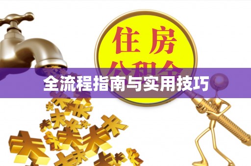 梁平全流程指南与实用技巧