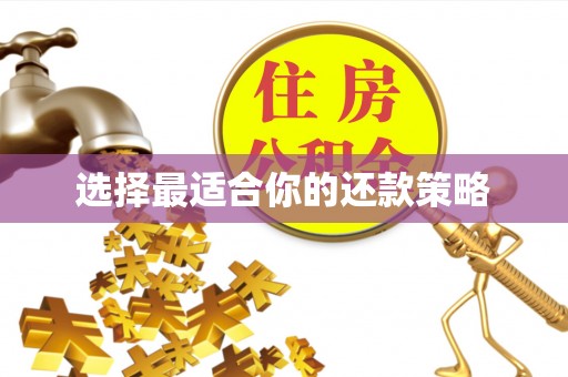 梁平选择最适合你的还款策略