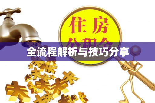 梁平全流程解析与技巧分享