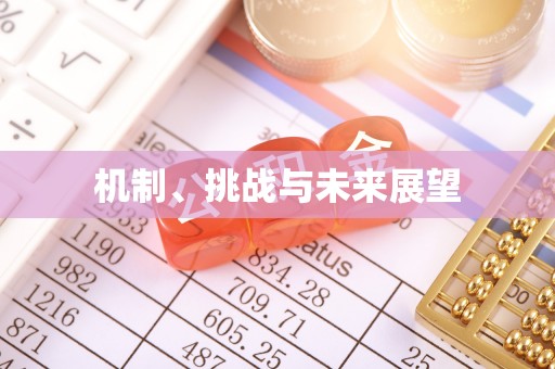 梁平机制、挑战与未来展望