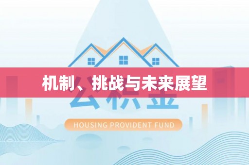 梁平机制、挑战与未来展望